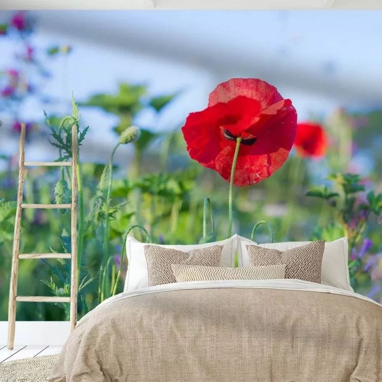 Fotobehang van wilde zomer bloem rood in slaapkamer met laddertje