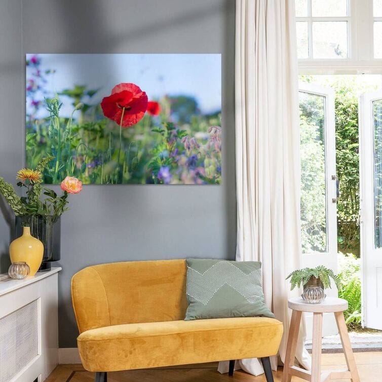 Fotoprint op plexiglass van wilde zomer bloemen in woonkamer met grijze muur en geel bankje